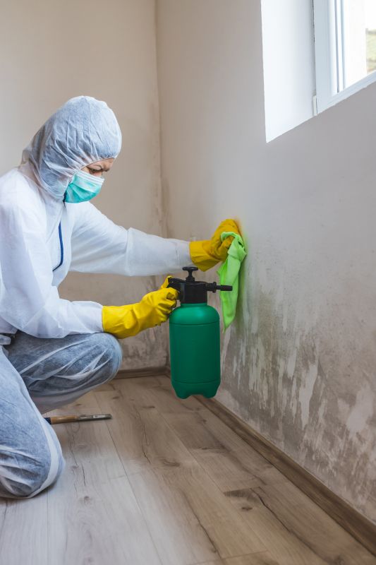 Air Duct Mold Removal in Essex County, NJ