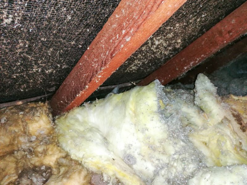 Asbestos Abatement in Bergen County, NJ