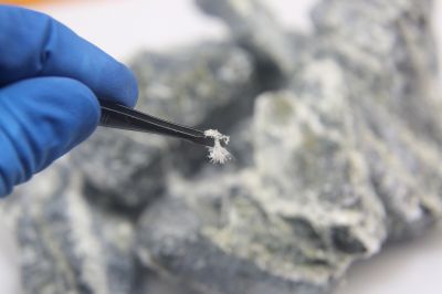 Asbestos Inspection Service in Essex County, NJ