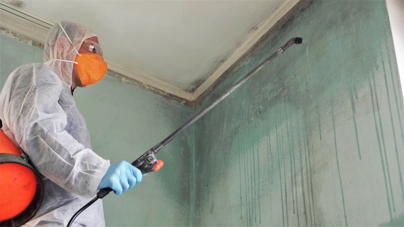Attic Mold Remediation in Bergen County, NJ