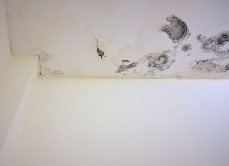 Attic Mold Remediation in Fort Lauderdale, FL