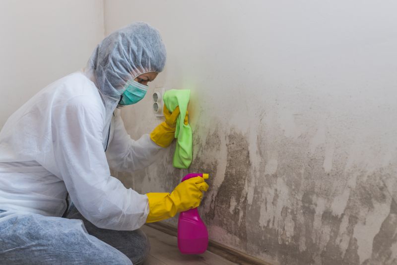 Attic Mold Removal in Boca Raton, FL