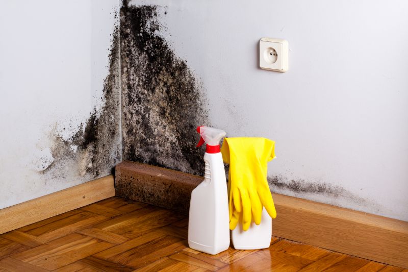 Basement Mold Remediation in Boca Raton, FL