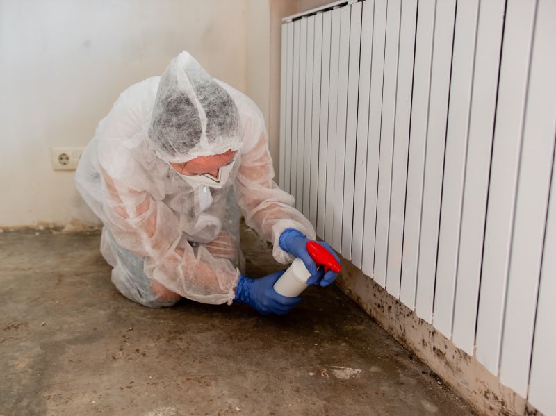 Basement Mold Remediation in Bergen County, NJ