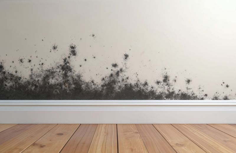 Basement Mold Remediation in West Palm Beach, FL
