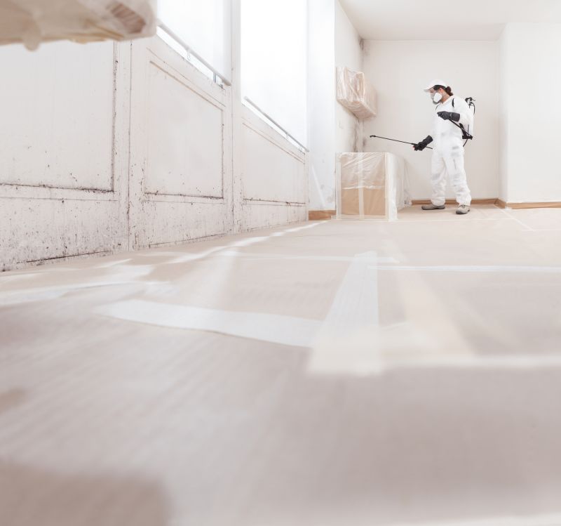 Basement Mold Removal in Essex County, NJ