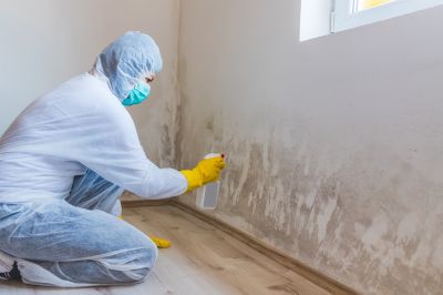 Bathroom Mold Removal