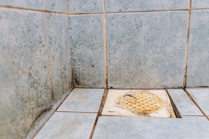 Bathroom Mold Removal