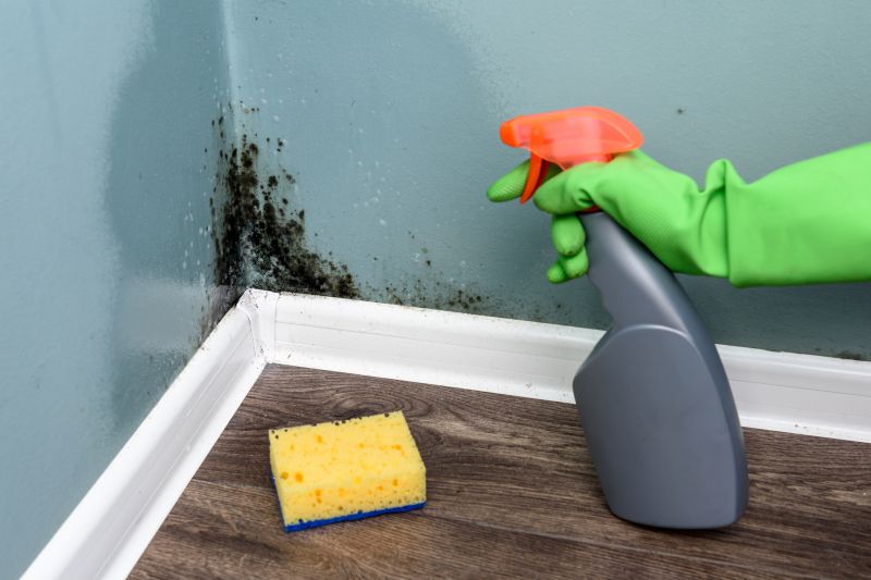 Bathroom Mold Removal