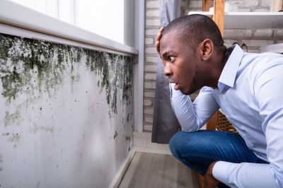 Bathroom Mold Inspection