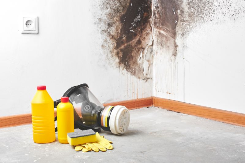 Tools for Mold Removal