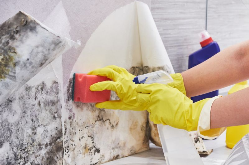 Black Mold Remediation in Jupiter, FL
