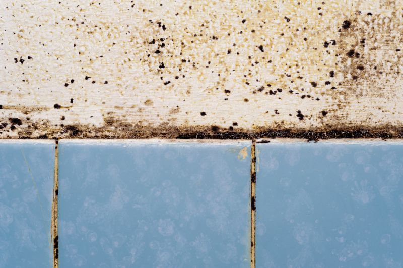 Hidden Mold Behind Tiles