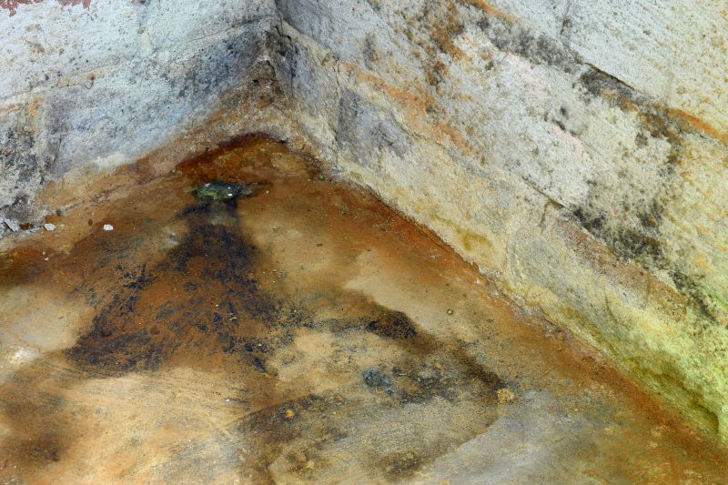 Crawl Space Mold Removal in Dallas, TX