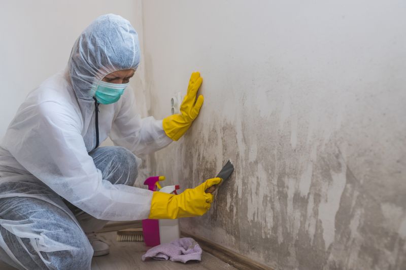Crawl Space Mold Removal in Essex County, NJ