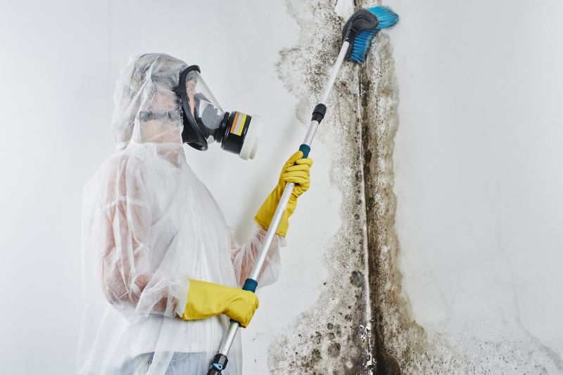 Garage Mold Remediation in Fort Lauderdale, FL