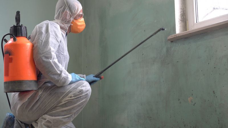 Mold Abatement in Weatherford, TX