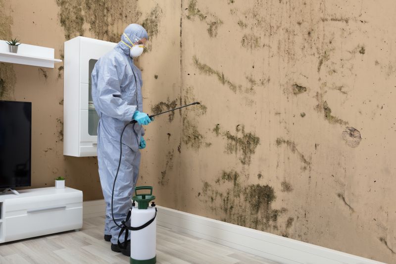 Mold Abatement in Boca Raton, FL