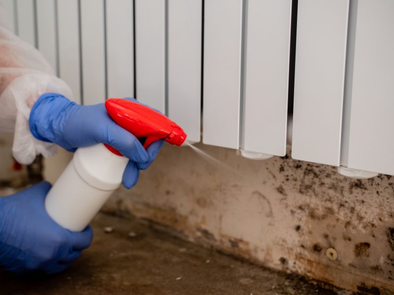 Mold Cleanup Service in Fort Lauderdale, FL