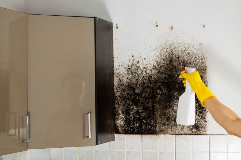 Mold Cleanup Service in Boca Raton, FL