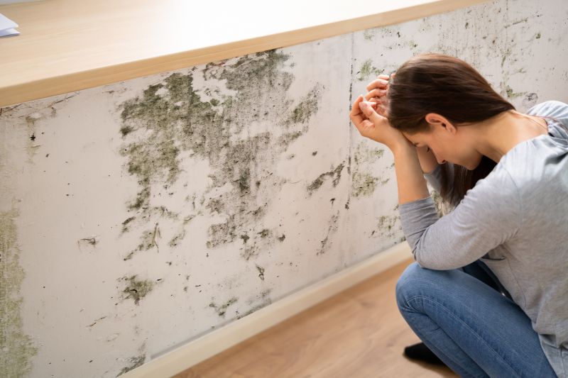 Mold Control in Mckinney, TX