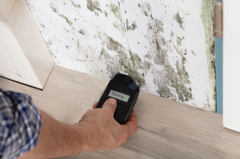 Mold Detection in Frisco, TX