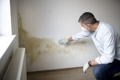 Mold Mitigation Service in Jupiter, FL