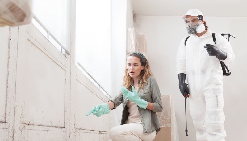 Mold Remediation Service in Boca Raton, FL