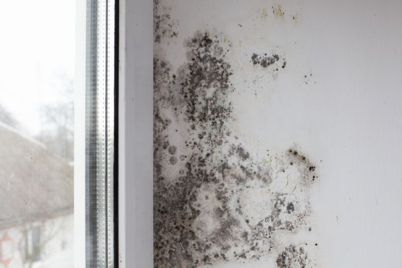 Mold Removal in Jupiter, FL