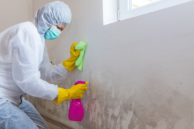 Mold Restoration in Fort Lauderdale, FL