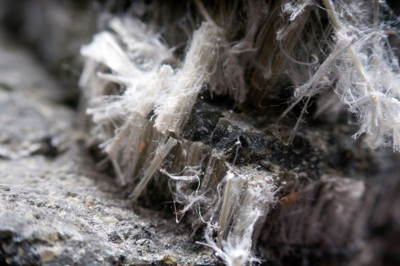Vermiculite Remediation in Freehold, NJ