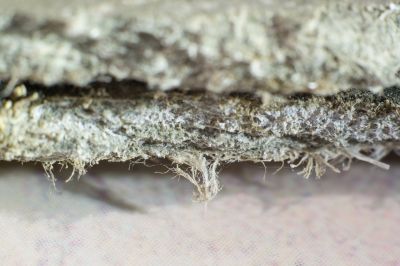 Vermiculite Removal Service in Monmouth County, NJ