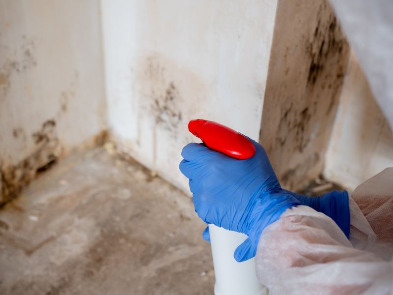 Attic Mold Remediation in West Palm Beach, FL
