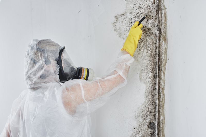 Black Mold Removal in Pompano Beach, FL