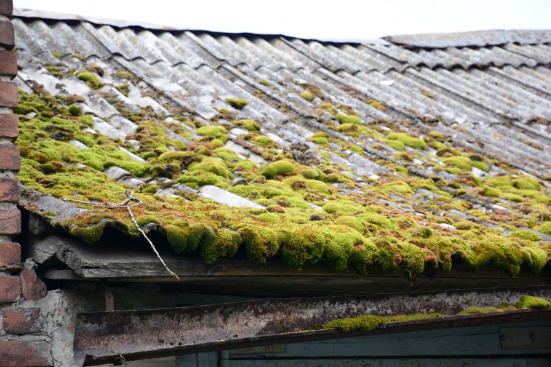 Garage Asbestos Removal in Monmouth County, NJ