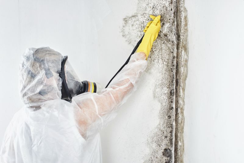 Mold Abatement in Broward County, FL