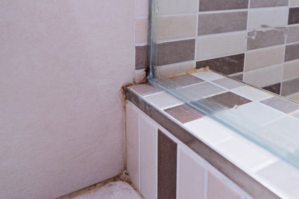 Bathroom Fungal Treatment