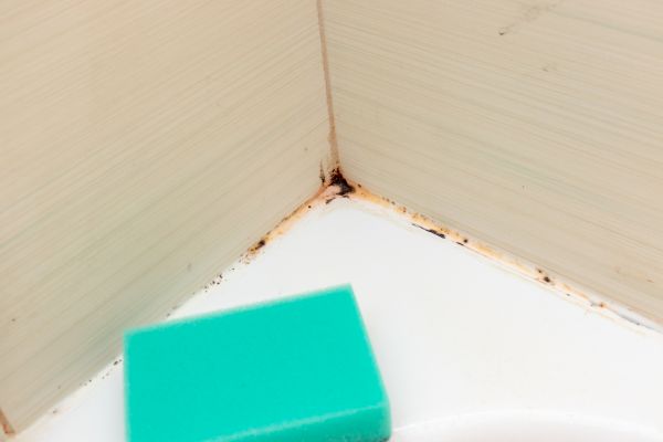 Bathroom Fungus Removal